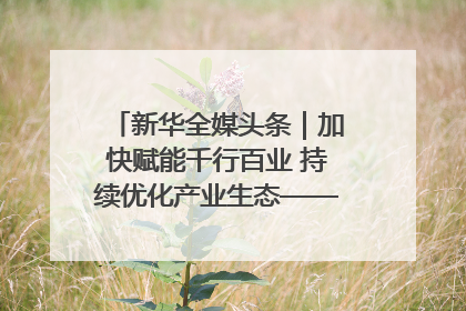 新华全媒头条｜加快赋能千行百业 持续优化产业生态——浙江推动人工智能健康有序发展观察