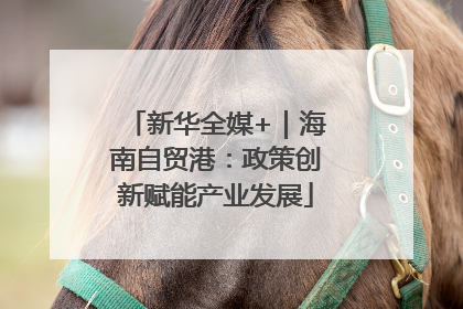 新华全媒+｜海南自贸港：政策创新赋能产业发展
