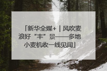 新华全媒+｜风吹麦浪好“丰”景——多地小麦机收一线见闻