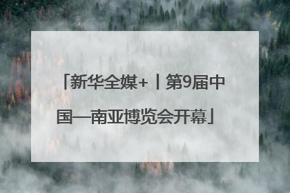 新华全媒+丨第9届中国—南亚博览会开幕