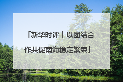 新华时评丨以团结合作共促南海稳定繁荣