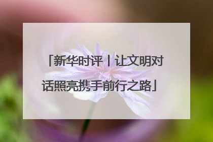 新华时评丨让文明对话照亮携手前行之路
