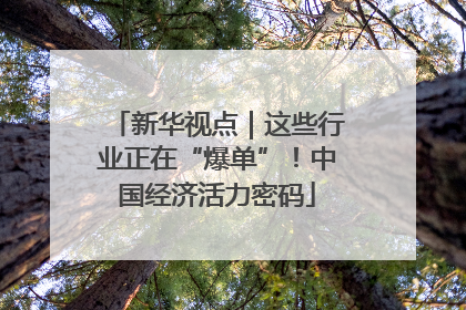 新华视点｜这些行业正在“爆单”！中国经济活力密码