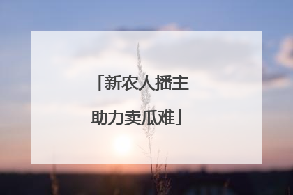 新农人播主 助力卖瓜难