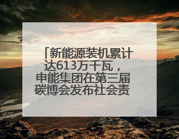 新能源装机累计达613万千瓦，申能集团在第三届碳博会发布社会责任报告