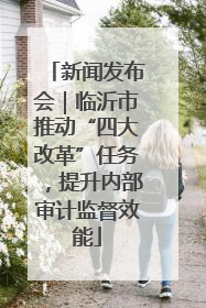 新闻发布会｜临沂市推动“四大改革”任务，提升内部审计监督效能