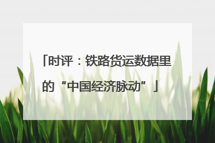 时评：铁路货运数据里的“中国经济脉动”