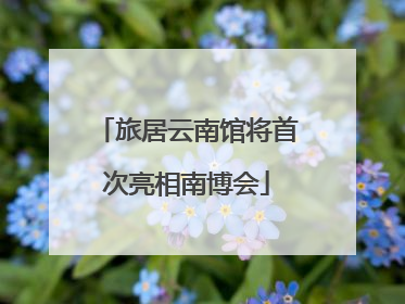 旅居云南馆将首次亮相南博会
