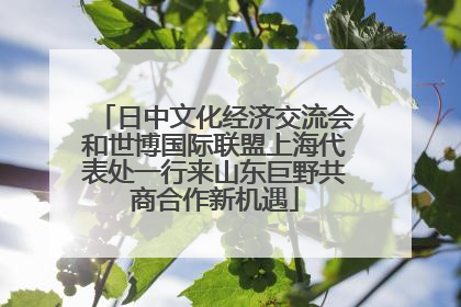 日中文化经济交流会和世博国际联盟上海代表处一行来山东巨野共商合作新机遇