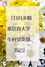 日月乡精准培育大学生村党支部书记