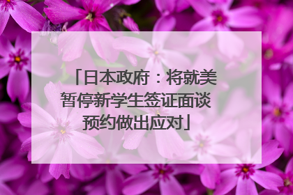 日本政府：将就美暂停新学生签证面谈预约做出应对