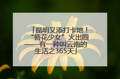 昆明又添打卡地！“簪花少女”火出圈——有一种叫云南的生活之365天