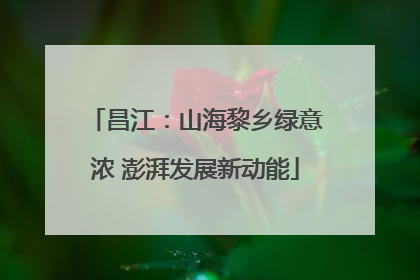 昌江：山海黎乡绿意浓 澎湃发展新动能