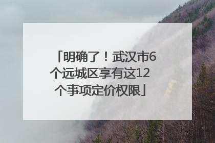 明确了！武汉市6个远城区享有这12个事项定价权限