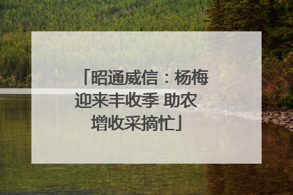 昭通威信：杨梅迎来丰收季 助农增收采摘忙