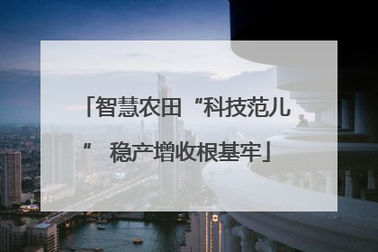 智慧农田“科技范儿” 稳产增收根基牢
