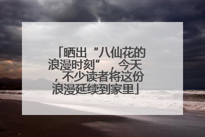 晒出“八仙花的浪漫时刻”，今天，不少读者将这份浪漫延续到家里