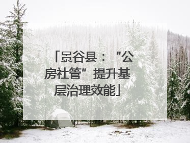 景谷县：“公房社管”提升基层治理效能