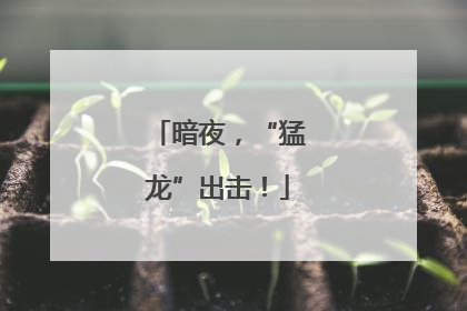 暗夜，“猛龙”出击！