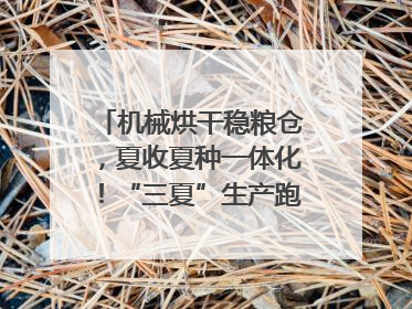机械烘干稳粮仓，夏收夏种一体化！“三夏”生产跑出加速度｜麦报