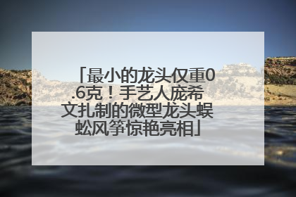 最小的龙头仅重0.6克！手艺人庞希文扎制的微型龙头蜈蚣风筝惊艳亮相