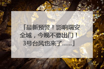 最新预警！影响瑞安全域，今晚不要出门！3号台风也来了……