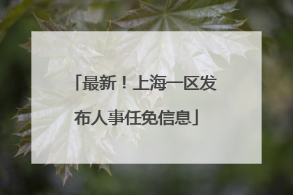 最新！上海一区发布人事任免信息