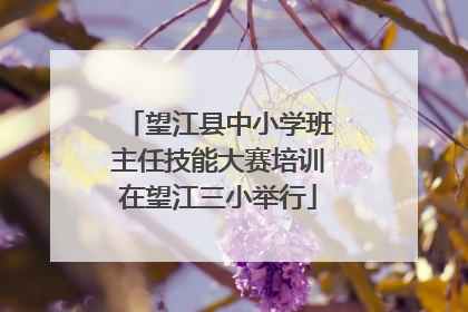 望江县中小学班主任技能大赛培训在望江三小举行