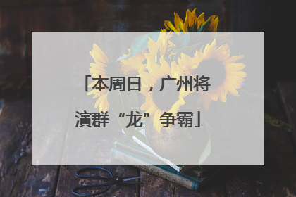 本周日，广州将演群“龙”争霸