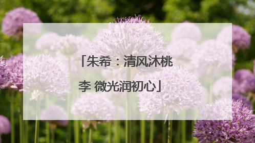 朱希：清风沐桃李 微光润初心