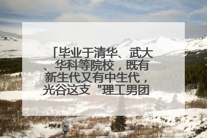 毕业于清华、武大、华科等院校，既有新生代又有中生代，光谷这支“理工男团”为何“出道”？