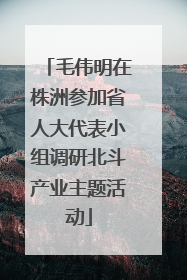 毛伟明在株洲参加省人大代表小组调研北斗产业主题活动