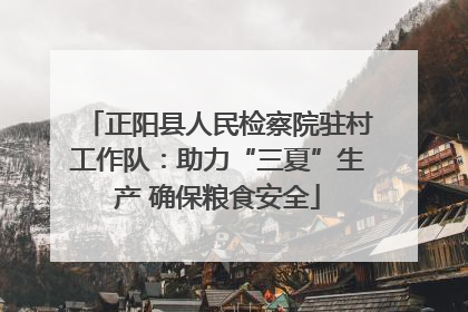 正阳县人民检察院驻村工作队：助力“三夏”生产 确保粮食安全