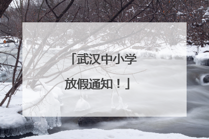 武汉中小学放假通知！