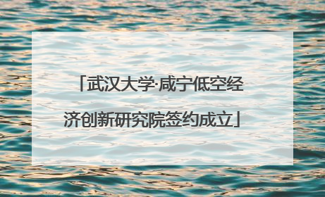 武汉大学·咸宁低空经济创新研究院签约成立