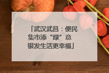 武汉武昌：便民集市添“绿”意 银发生活更幸福