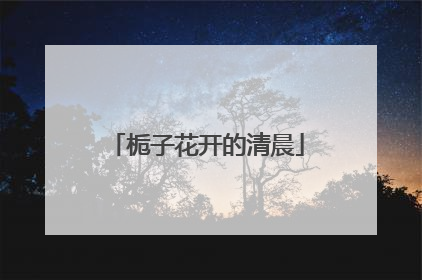 栀子花开的清晨