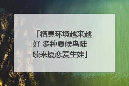 栖息环境越来越好 多种夏候鸟陆续来厦恋爱生娃