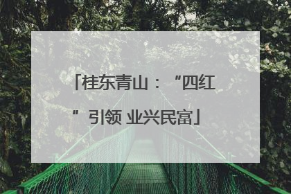 桂东青山：“四红”引领 业兴民富