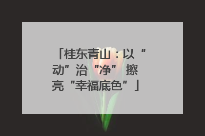 桂东青山：以“动”治“净” 擦亮“幸福底色”