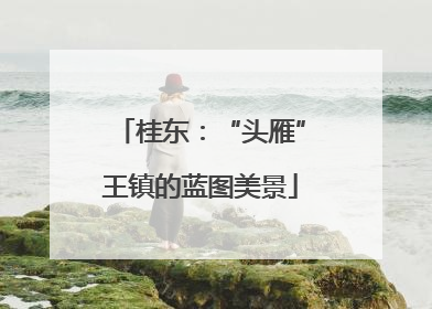 桂东：“头雁”王镇的蓝图美景