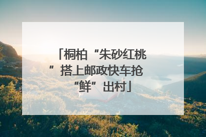 桐柏“朱砂红桃”搭上邮政快车抢“鲜”出村