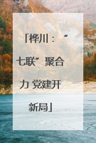 桦川：“七联”聚合力 党建开新局