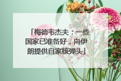 梅德韦杰夫：一些国家已准备好，向伊朗提供自家核弹头