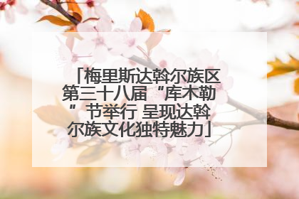 梅里斯达斡尔族区第三十八届“库木勒”节举行 呈现达斡尔族文化独特魅力
