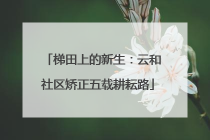 梯田上的新生：云和社区矫正五载耕耘路