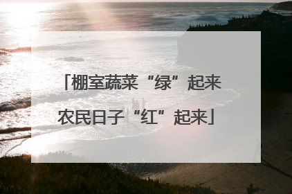 棚室蔬菜“绿”起来 农民日子“红”起来