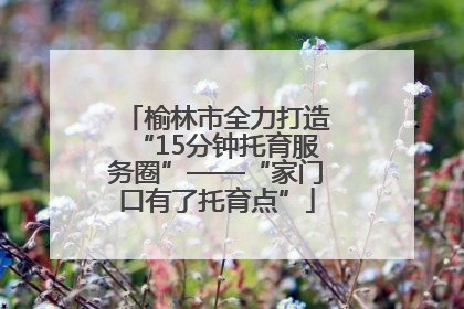 榆林市全力打造“15分钟托育服务圈”——“家门口有了托育点”