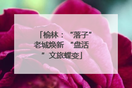 榆林：“落子”老城焕新 “盘活”文旅蝶变