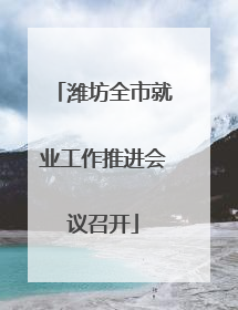 潍坊全市就业工作推进会议召开